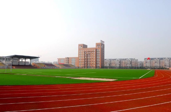 196.jpg