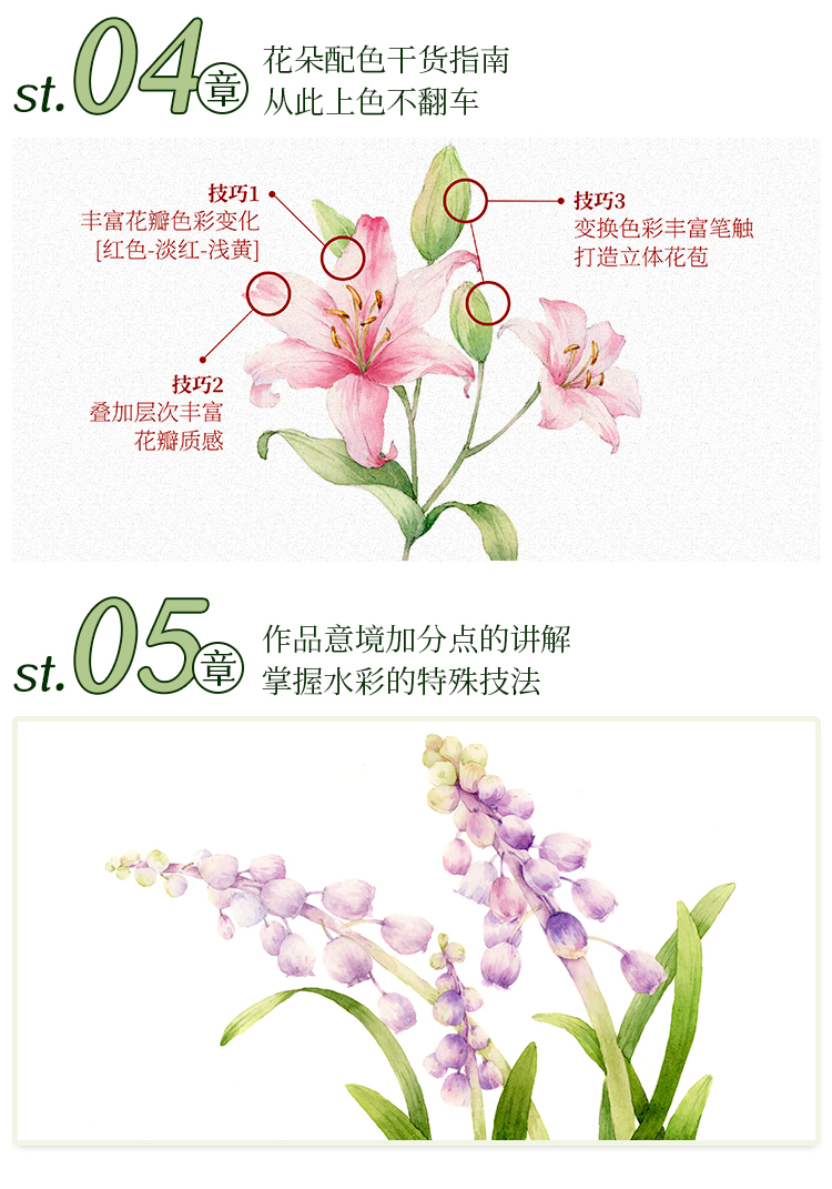 零基础·水彩花卉入门详情_11.jpg
